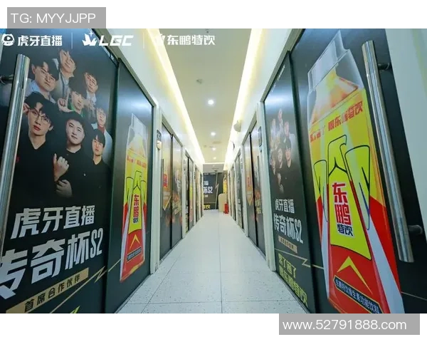 深度对话：陈军在英雄联盟世界中的奋斗与成长之路