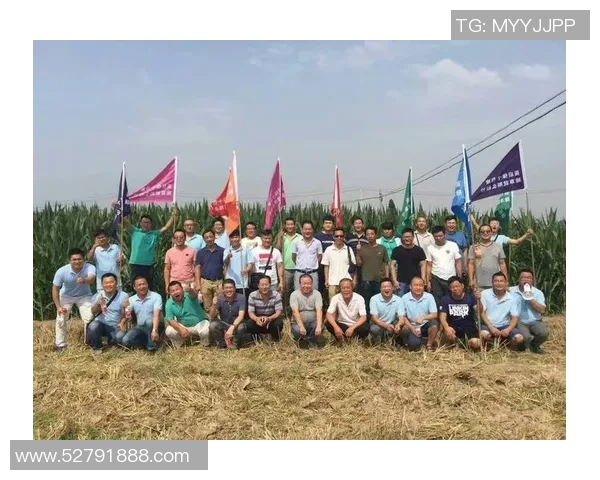 南京羽毛球队重塑辉煌之路的反击与创新之旅 南京羽毛球队重塑辉煌之路的反击与创新之旅