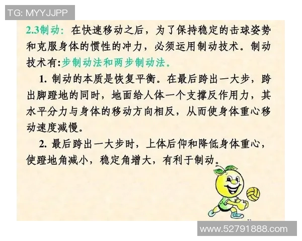 广州排球队的节奏打法深度分析与战术解读 广州排球队的节奏打法深度分析与战术解读