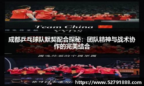 成都乒乓球队默契配合探秘：团队精神与战术协作的完美结合