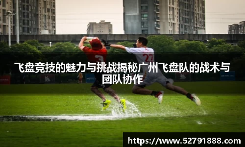 飞盘竞技的魅力与挑战揭秘广州飞盘队的战术与团队协作